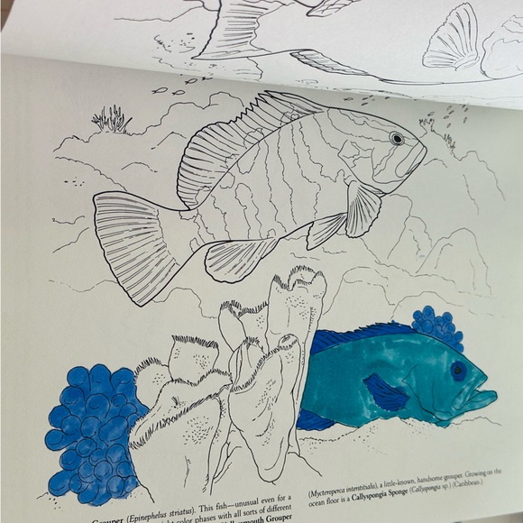 Dover Coloring Coral Reef 🪸🐠 Paperback Coloring Activity Book - Picture 3 of 9